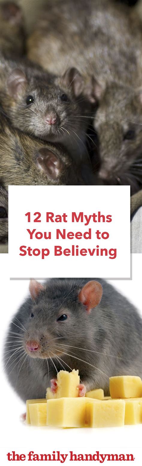 7 listcrawler norfolk Myths You Need to Stop Believing - x3hpvc1