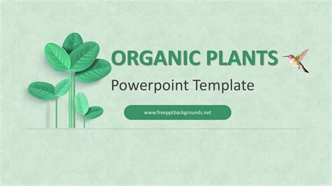 Ppt Organ Systems In Plants Powerpoint Presentation