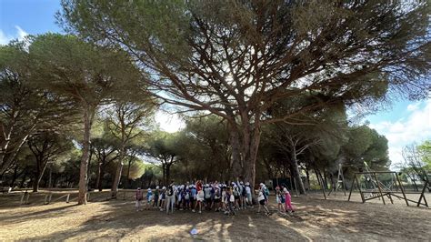 Alumnos celebran en Pinar del Rey el Día Mundial del Medio Ambiente