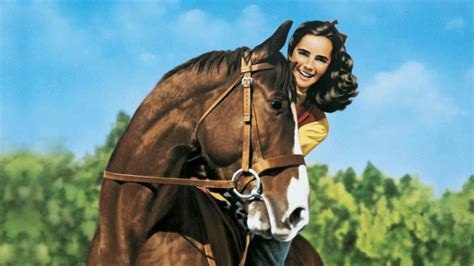 Top 10 Horse Movies To Watch During Quarantine Rfd Tv