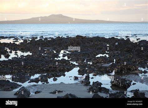 Iconic Rangitoto volcano on Rangitoto Island. Photo taken from tje ...