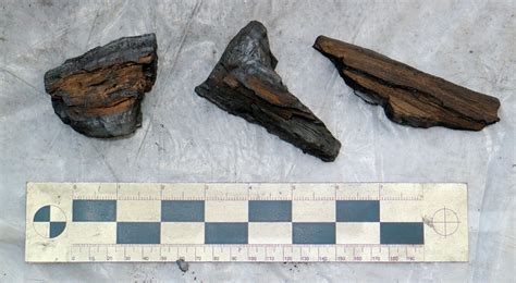 Review Of Fire And Flavor Hardwood Lump Naked Whiz Ceramic Charcoal Cooking