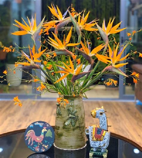 H I Ch Em Ua Nhau Mua Lo I Hoa Hot Trend Sau T T Gi R B T Ng Ch T Ng B P