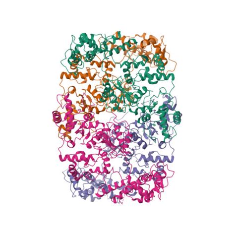 Rcsb Pdb Lhl Cryo Em Structure Of Mycobacterium Smegmatis Lhr