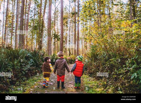 Junge Im Wald Spazieren Fotos Und Bildmaterial In Hoher Auflösung Alamy