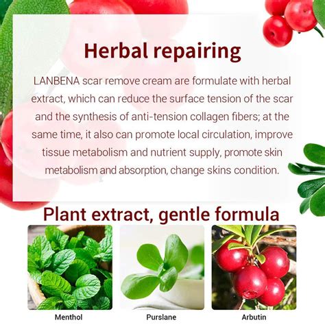 LANBENA Acne Scar Removal Cream - Herbal Gel for Surgical Scars, Burns ...