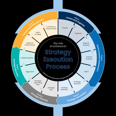 The Role of Software in Strategy Execution Process: From Blueprint to