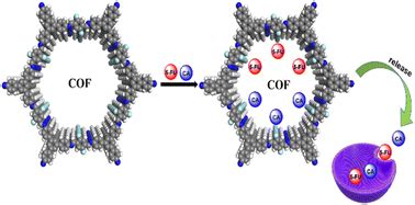 Fluorinated covalent organic frameworks for efficient drug delivery ...