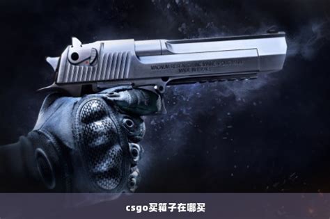 Csgo买箱子在哪买cs2知识库csgo攻略基地