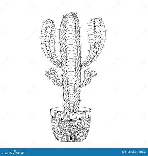 Zentangle Cactus Set Vector Illustration Hand Drawn Outline De