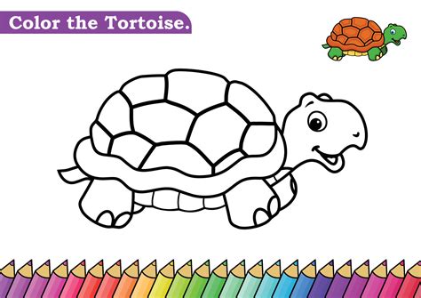 Coloring Page For Tortoise Vector Illustration Kindergarten Children