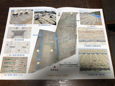 【見附市】中世の畑を発見！2024年12月中旬まで西今町で三林遺跡2次発掘調査が行われています。 号外net 三条市・燕市・見附市