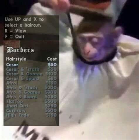 What is the monkey haircut meme? : r/OutOfTheLoop