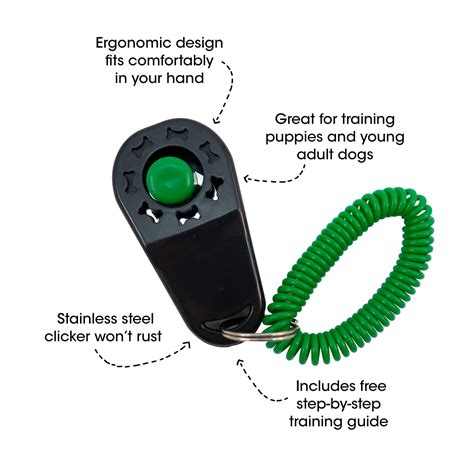 clicker training cats 8