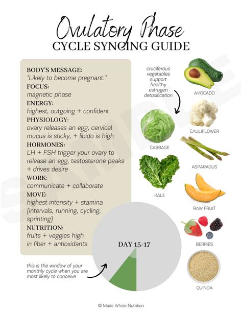 Ovulatory Phase Cycle Syncing Guide Artofit