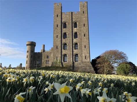 Penrhyn Castle | VisitWales