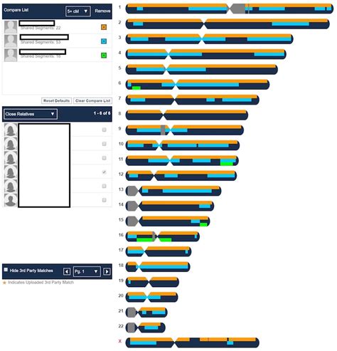 DNA Test Reviews: AncestryDNA, MyHeritage DNA, and more