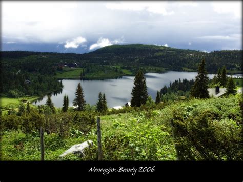 Norwegian Beauty 2006 By Mclambo On Deviantart