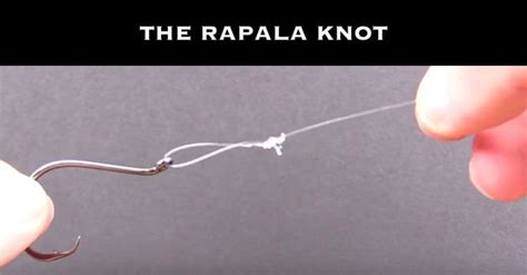 How To Tie The Rapala Knot Step By Step Picture And Video Tutorial