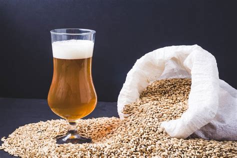 Le kit de brassage un cadeau de Noël idéal pour un amateur de bière Les idées cuisine de Sylvie