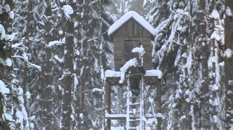 Охота на кабана в Беларуси!!! - YouTube