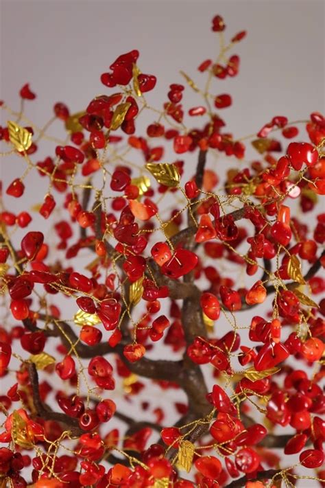 Дерево счастья из коралла d000ka1 коралл