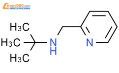 2 methyl N pyridin 2 ylmethyl propan 2 amine 58669 32 2 深圳爱拓化学有限公司