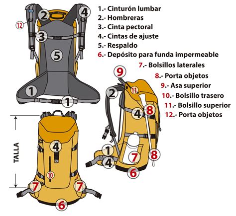 Partes Y Elemento De Una Mochila Equipo De Senderismo Senderismo