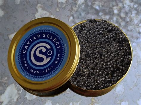 CALIFORNIA WHITE STURGEON – Caviar Select