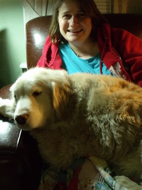 Inflammatory Bowel Disease | Golden Gracie's Blog