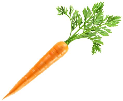 Carrot Png Transparent Images Pictures Photos