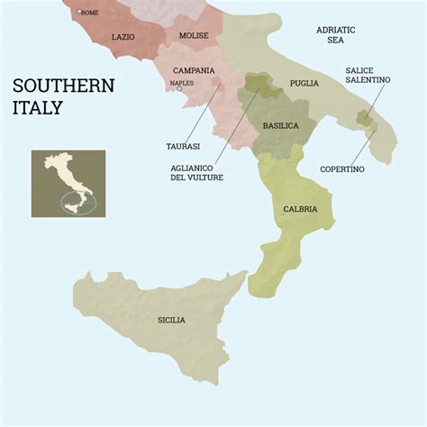 The Wines of Southern Italy - Andrea Wine
