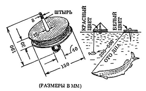 Кружки для Рыбалки. Видео | Как Поймать Щуку?