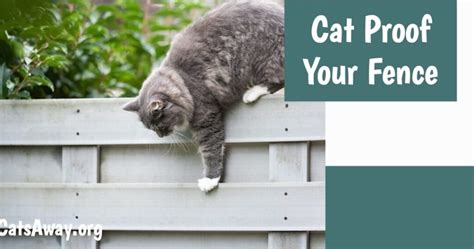The Ultimate Guide To Keeping Your Garden Safe: Discover The Best Fence ...