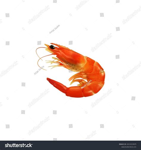 Shrimp Seafood Vector Illustration White Background เวกเตอร์สต็อก