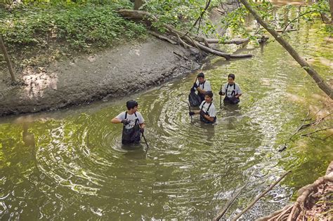 Voluntary river cleaning work - Stock Image - C025/8180 - Science Photo Library