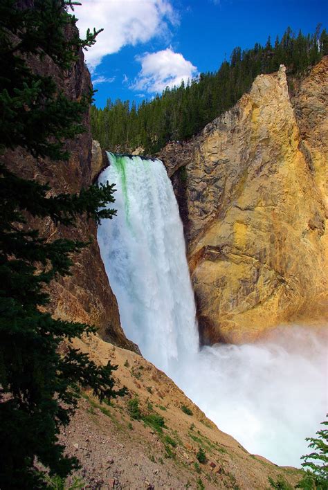 Lower Falls Of The Yellowstone Yellowstone Falls River National