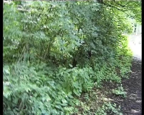 Retro deutscher Amateur Retro deine tägliche Dosis Porno xHamster