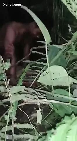 Indian Desi Hardcore Porn Xhamster