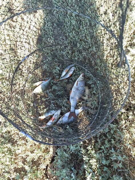 FishFans | Рыболовный клуб | Рыболовный клуб FishFans - Группа для всех ...