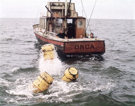 Images De Les Dents De La Mer Senscritique