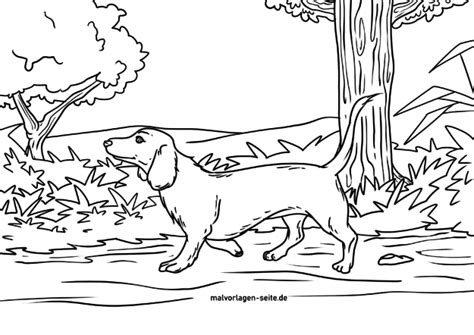 40 Dackel Ausmalbilder Zum Ausdrucken Kostenloser | Ausmalbilder