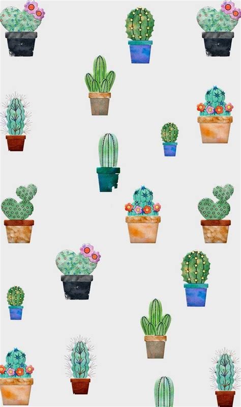 Cactus Wallpaper Discover More Beautiful Cactaceae Cactus