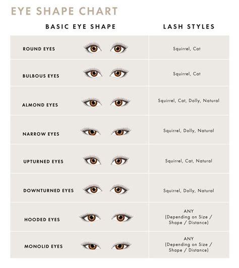 Eye Shape Chart For Eyelash Extensions Types Of Eye Shapes Types Of