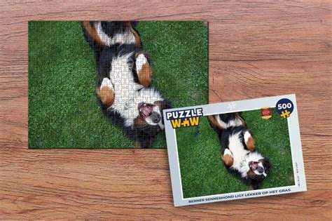 Puzzel Berner Sennenhond Ligt Lekker Op Het Gras Legpuzzel Puzzel