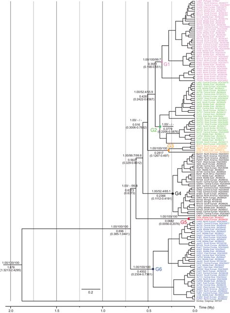 Bayesian Maximum Clade Credibility Phylogenomic Tree Derived From