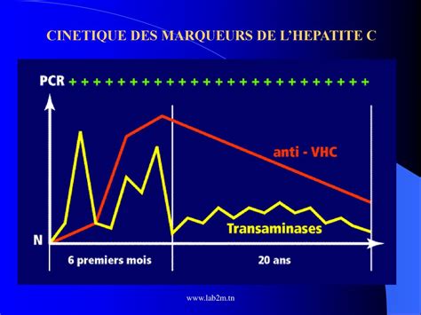 LES HEPATITES VIRALES B ET C ppt télécharger