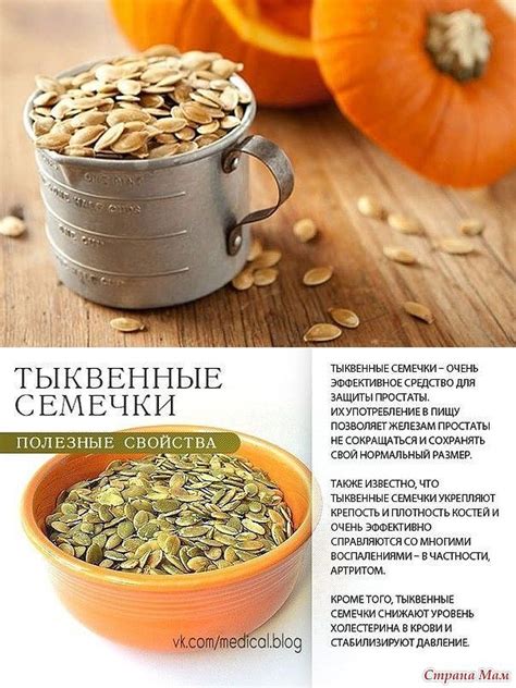 Тыквенные семечки - польза для женщин и мужчин, как заваривать