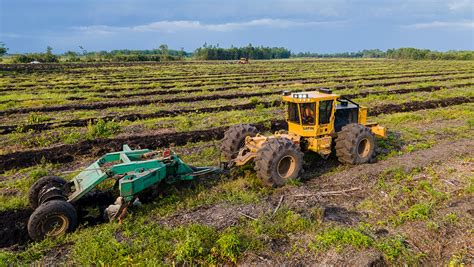 630h Silviculture Carrier Tigercat Off Road Industrial