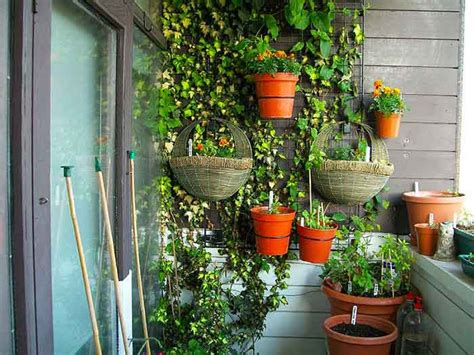 Защита цветов от кошек — лайфхак